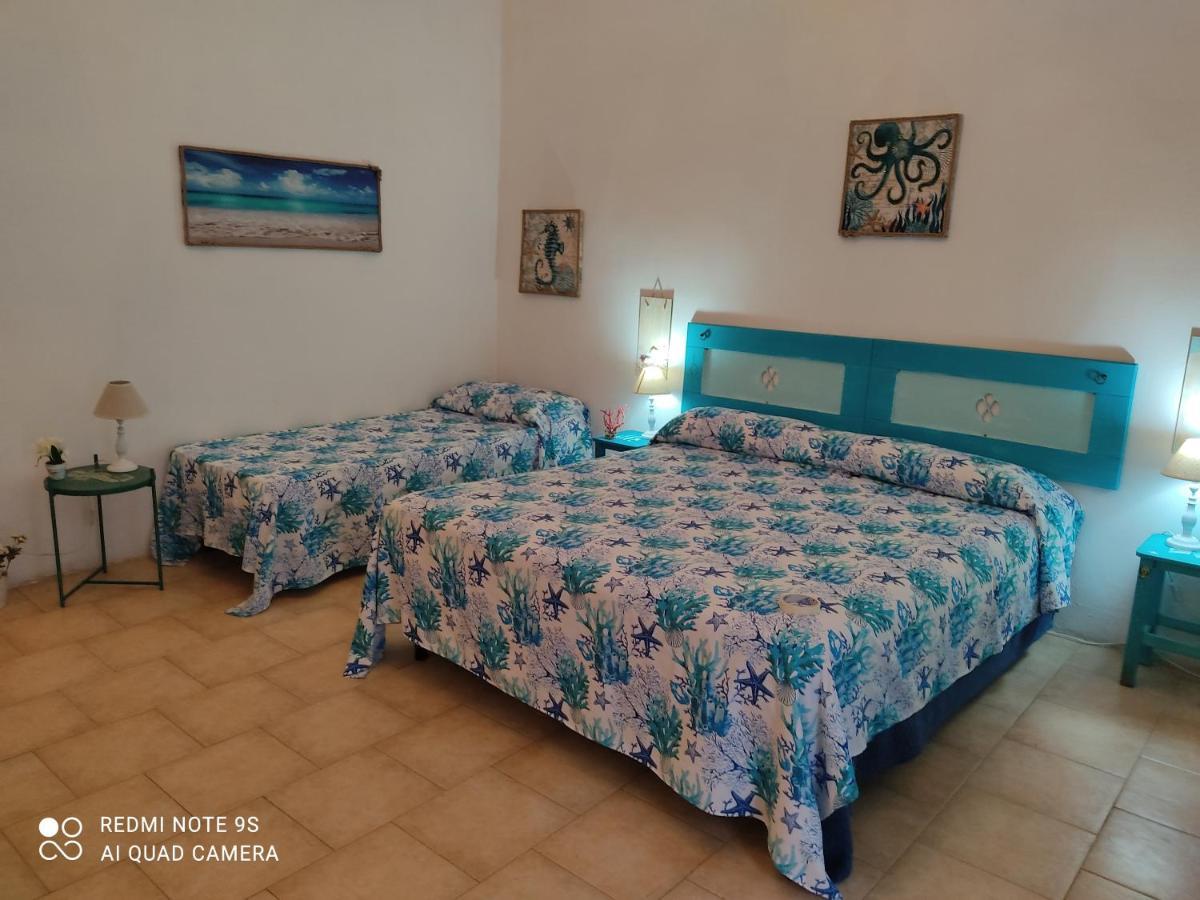 Hébergement de vacances Casa Allegra